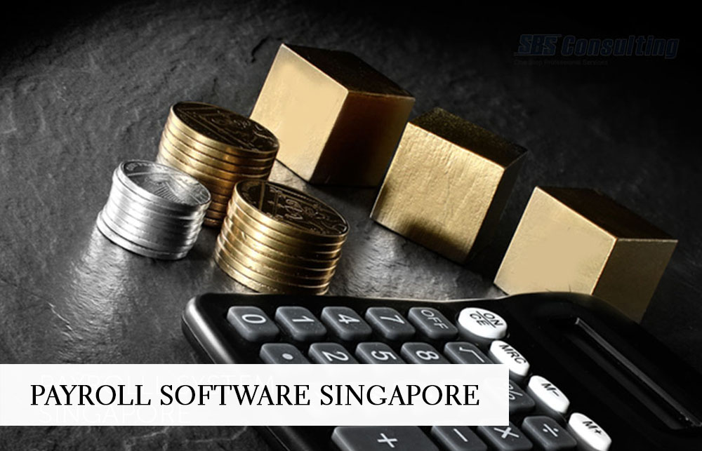 Implementation-of-Payroll-Software-Singapore